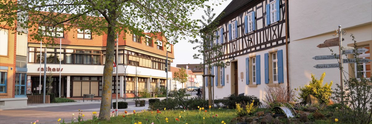 Das Historische Rathaus und das moderne Rathaus auf einen Blick Ansich auf beide Rathäuser über eine Frühlingswiese. Rechts das historische Rathaus mit dem Ortsmuseum und links das 1980 eröffnete Rathaus der Gemeinde