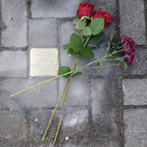 Stein in der Turnhallenstraße Stolperstein in der Turnhallenstraße