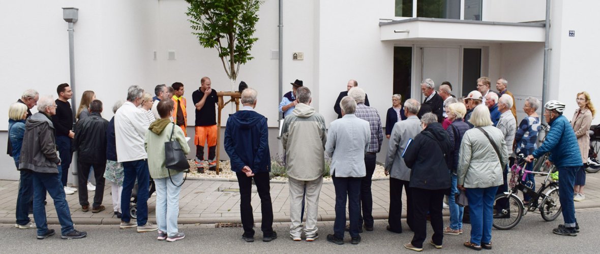 Verlegung der Stolperschwelle Abbilddung der Verlegung der Stolperschwelle