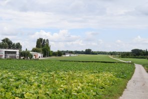Segelflugplatz Dannstadt-Schauernheim Blick auf den Segelflugplatz Dannstadt-Schauernheim mit Vereinsgebäuden und Start- Landebahn aus saftig grünem Gras