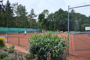 TCM-Platz Blick auf einen der vielen Tennisplätze des TC Mutterstadt