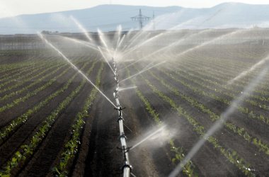 Eine Beregnerreihe auf einem Feld vor Muttertstadt